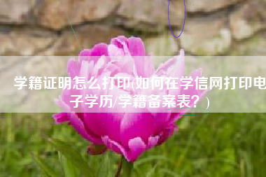 学籍证明怎么打印(如何在学信网打印电子学历/学籍备案表？)