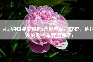 ebay购物要交税吗(跨境电商严交税，德国人的购物车要遭殃了)