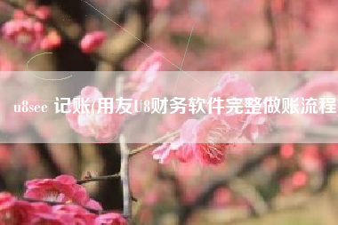 u8see 记账(用友U8财务软件完整做账流程)