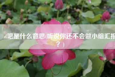 d吧是什么意思(听说你还不会做小组汇报？)