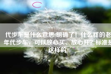 代步车是什么意思(明确了！什么样的老年代步车，可以放心买、放心开？标准是这样的)