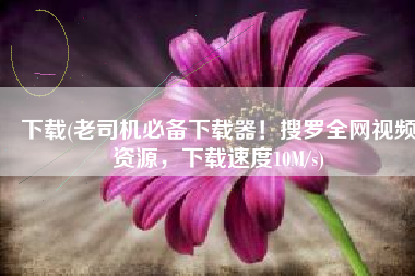 下载(老司机必备下载器！搜罗全网视频资源，下载速度10M/s)
