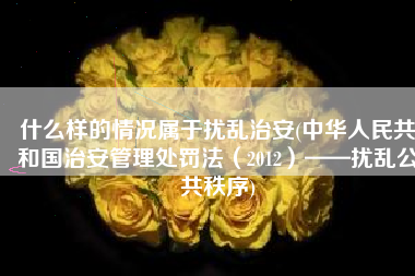 什么样的情况属于扰乱治安(中华人民共和国治安管理处罚法（2012）——扰乱公共秩序)