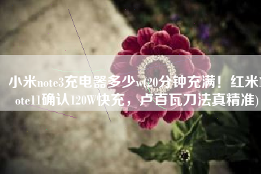 小米note3充电器多少w(20分钟充满！红米Note11确认120W快充，卢百瓦刀法真精准)