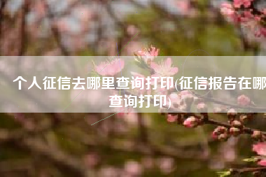 个人征信去哪里查询打印(征信报告在哪查询打印)