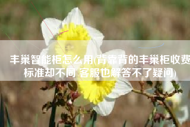 丰巢智能柜怎么用(背靠背的丰巢柜收费标准却不同 客服也解答不了疑问)