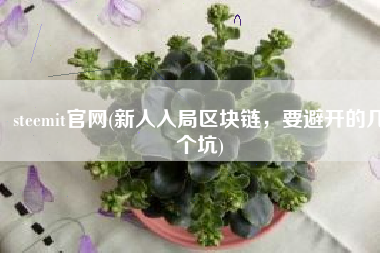 steemit官网(新人入局区块链，要避开的几个坑)