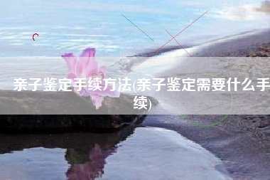 亲子鉴定手续方法(亲子鉴定需要什么手续)