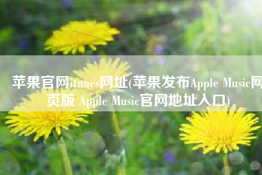 苹果官网itunes网址(苹果发布Apple Music网页版 Apple Music官网地址入口)