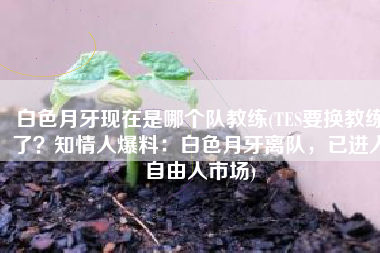 白色月牙现在是哪个队教练(TES要换教练了？知情人爆料：白色月牙离队，已进入自由人市场)