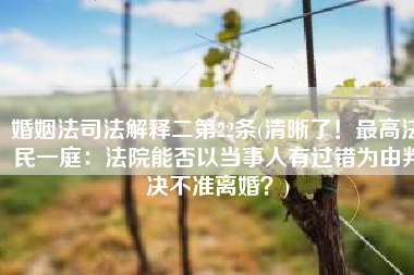 婚姻法司法解释二第22条(清晰了！最高法民一庭：法院能否以当事人有过错为由判决不准离婚？)