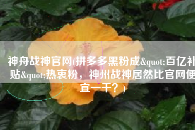 神舟战神官网(拼多多黑粉成"百亿补贴"热衷粉，神州战神居然比官网便宜一千？)