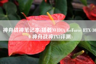神舟战神笔记本(搭载NVIDIA GeForce RTX 3060 神舟战神TX8评测)
