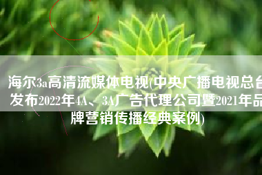海尔3a高清流媒体电视(中央广播电视总台发布2022年4A、3A广告代理公司暨2021年品牌营销传播经典案例)