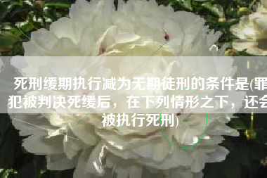 死刑缓期执行减为无期徒刑的条件是(罪犯被判决死缓后，在下列情形之下，还会被执行死刑)