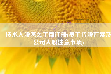 技术入股怎么工商注册(员工持股方案及公司入股注意事项)
