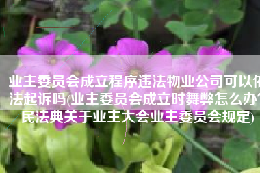 业主委员会成立程序违法物业公司可以依法起诉吗(业主委员会成立时舞弊怎么办？民法典关于业主大会业主委员会规定)