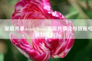 家庭共享steam(Steam家庭共享会导致账号被封禁吗？)