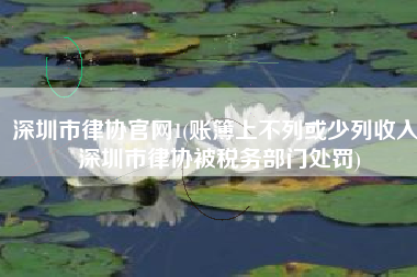 深圳市律协官网1(账簿上不列或少列收入 深圳市律协被税务部门处罚)