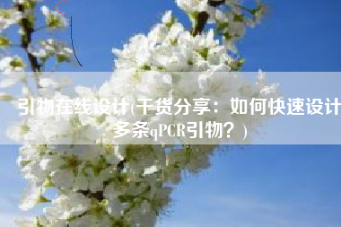 引物在线设计(干货分享：如何快速设计多条qPCR引物？)