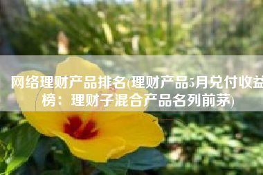 网络理财产品排名(理财产品5月兑付收益榜：理财子混合产品名列前茅)