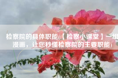 检察院的具体职能(【检察小课堂】一组漫画，让您秒懂检察院的主要职能)