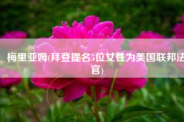 梅里亚姆(拜登提名5位女性为美国联邦法官)