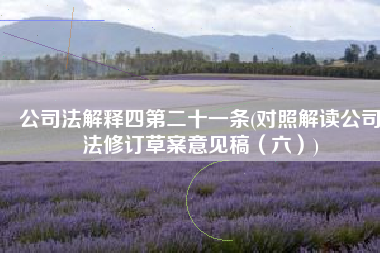 公司法解释四第二十一条(对照解读公司法修订草案意见稿（六）)