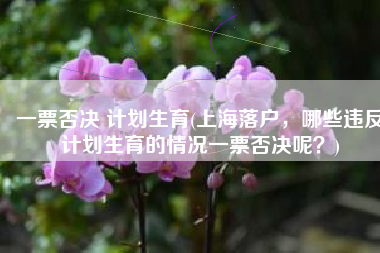 一票否决 计划生育(上海落户，哪些违反计划生育的情况一票否决呢？)