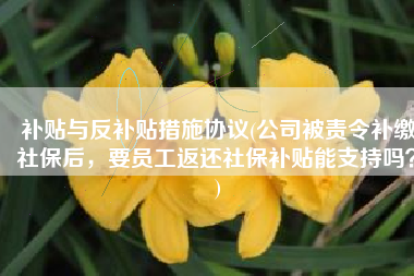 补贴与反补贴措施协议(公司被责令补缴社保后，要员工返还社保补贴能支持吗？)