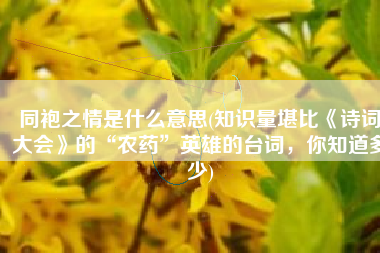 同袍之情是什么意思(知识量堪比《诗词大会》的“农药”英雄的台词，你知道多少)