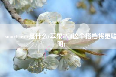 smartcover是什么(苹果iPad这个搭档将更聪明)