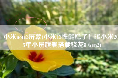小米note3屏幕(小米13性能稳了！曝小米2023年小屏旗舰搭载骁龙8 Gen2)