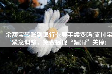 余额宝转账到银行卡要手续费吗(支付宝紧急调整，免费提现“漏洞”关停)