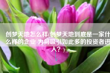 创梦天地怎么样(创梦天地到底是一家什么样的企业 为何吸引如此多的投资者进入？)