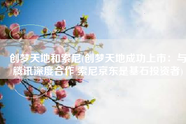 创梦天地和索尼(创梦天地成功上市：与腾讯深度合作 索尼京东是基石投资者)