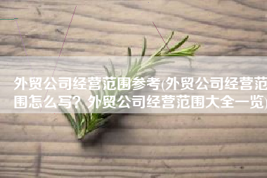 外贸公司经营范围参考(外贸公司经营范围怎么写？外贸公司经营范围大全一览)
