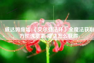 威达姆废墟(《艾尔登法环》全魔法获取方法速览表 魔法怎么获得)