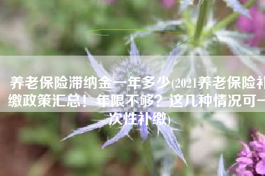 养老保险滞纳金一年多少(2021养老保险补缴政策汇总！年限不够？这几种情况可一次性补缴)