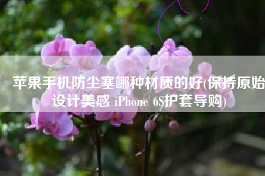 苹果手机防尘塞哪种材质的好(保持原始设计美感 iPhone 6S护套导购)