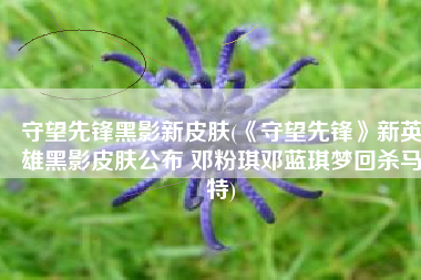 守望先锋黑影新皮肤(《守望先锋》新英雄黑影皮肤公布 邓粉琪邓蓝琪梦回杀马特)