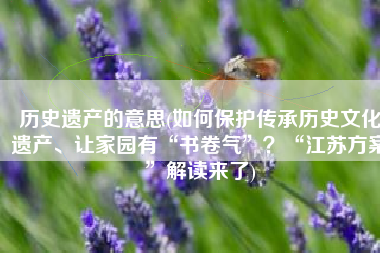 历史遗产的意思(如何保护传承历史文化遗产、让家园有“书卷气”？“江苏方案”解读来了)