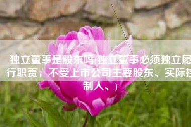 独立董事是股东吗(独立董事必须独立履行职责，不受上市公司主要股东、实际控制人、)