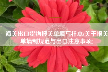 海关出口货物报关单填写样本(关于报关单填制规范与出口注意事项)