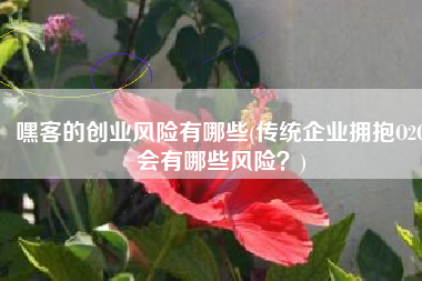 嘿客的创业风险有哪些(传统企业拥抱O2O会有哪些风险？)