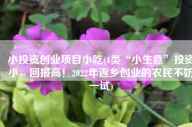 小投资创业项目小吃(4类“小生意”投资小，回报高！2022年返乡创业的农民不妨一试)