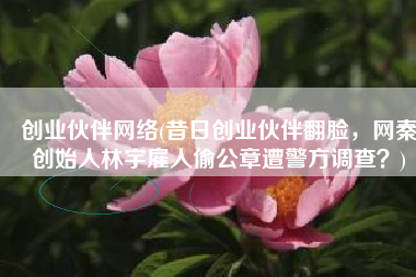 创业伙伴网络(昔日创业伙伴翻脸，网秦创始人林宇雇人偷公章遭警方调查？)