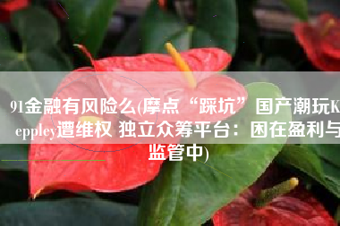 91金融有风险么(摩点“踩坑”国产潮玩Keeppley遭维权 独立众筹平台：困在盈利与监管中)