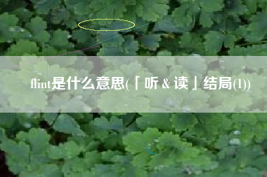 flint是什么意思(「听＆读」结局(1))