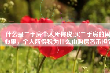 什么是二手房个人所得税(买二手房的闹心事，个人所得税为什么由购房者承担？)